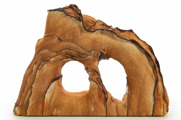 Wide Picture Sandstone Arch - Arizona #331157